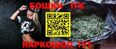 шишки Аргун