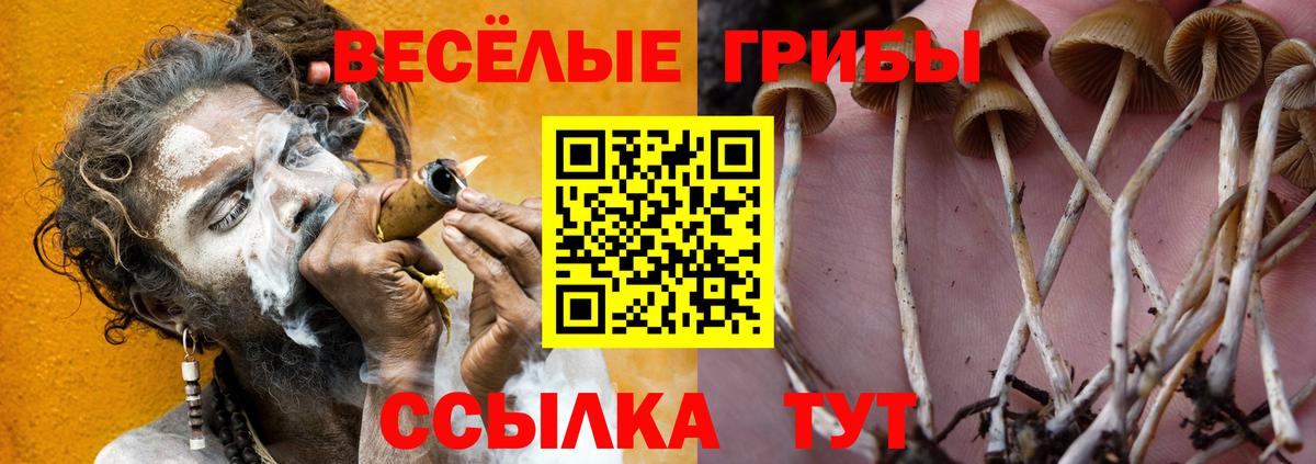 Псилоцибиновые грибы прущие грибы Обнинск