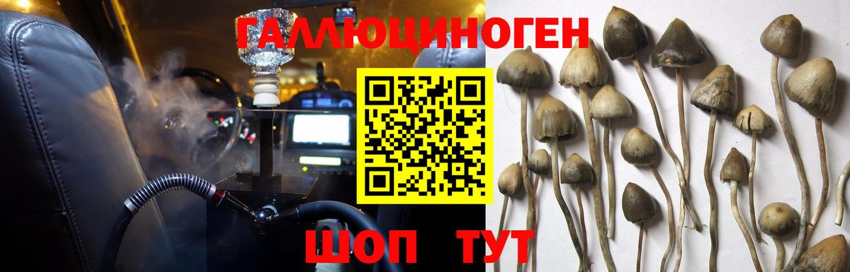 Обнинск  Псилоцибиновые грибы GOLDEN TEACHER  Вход с VPN 