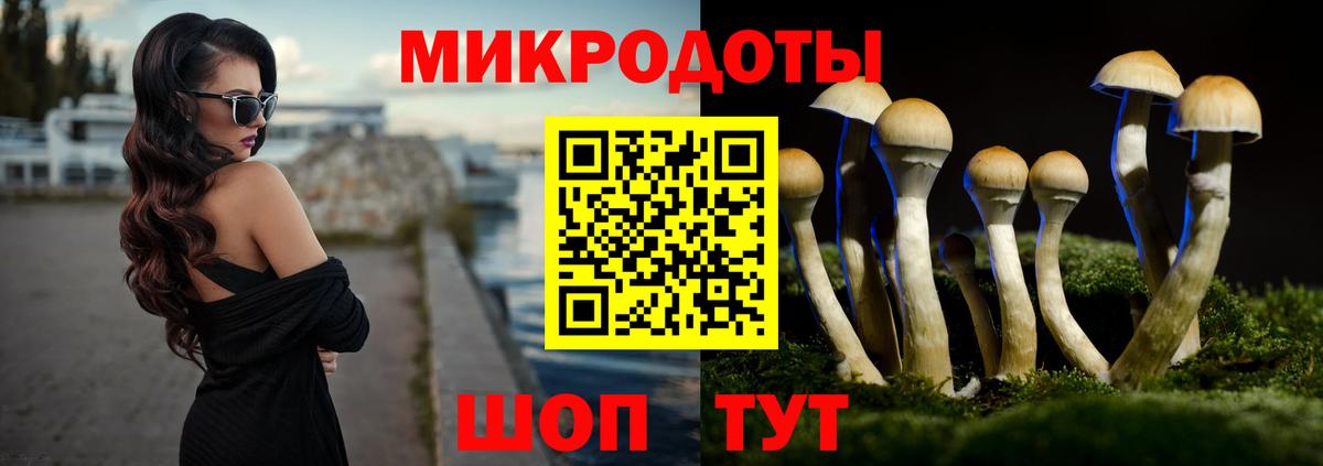 Галлюциногенные грибы мухоморы  Обнинск  Псилоцибиновые грибы Psilocybine cubensis 