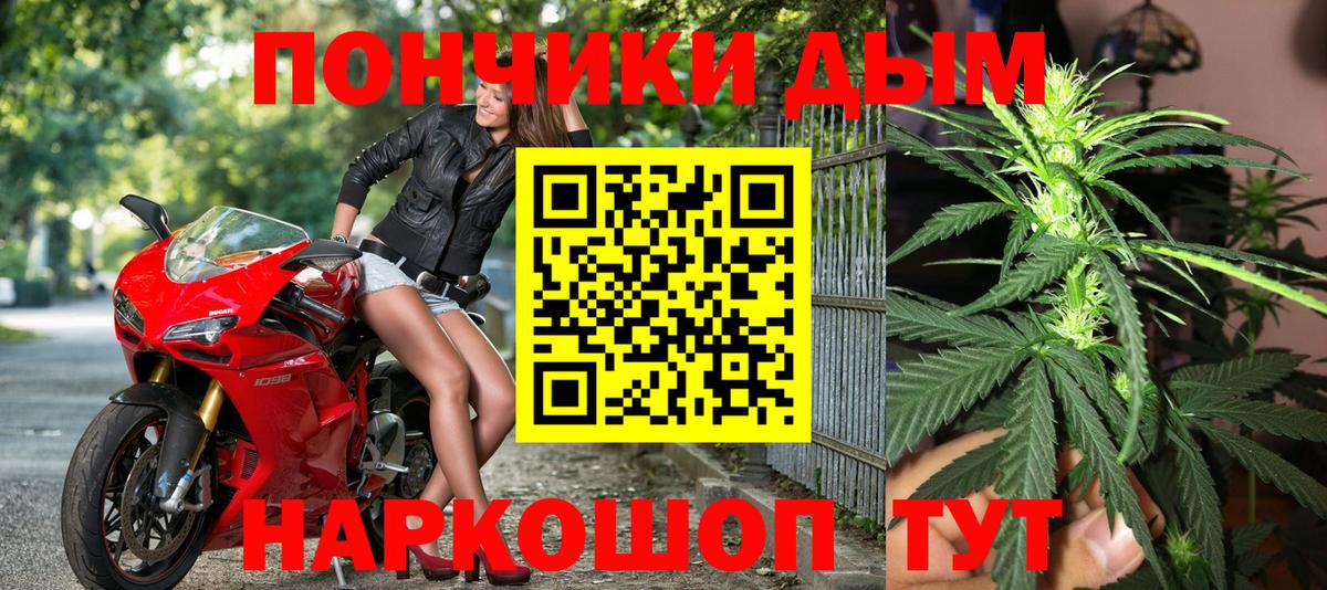 Конопля сатива Обнинск